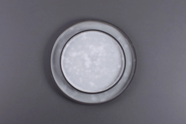 Talerze Moon
